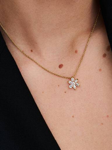 Collar con Colgante Racimo Herbario Brillante