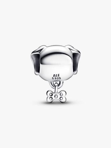 Charm Perro mascota y hueso