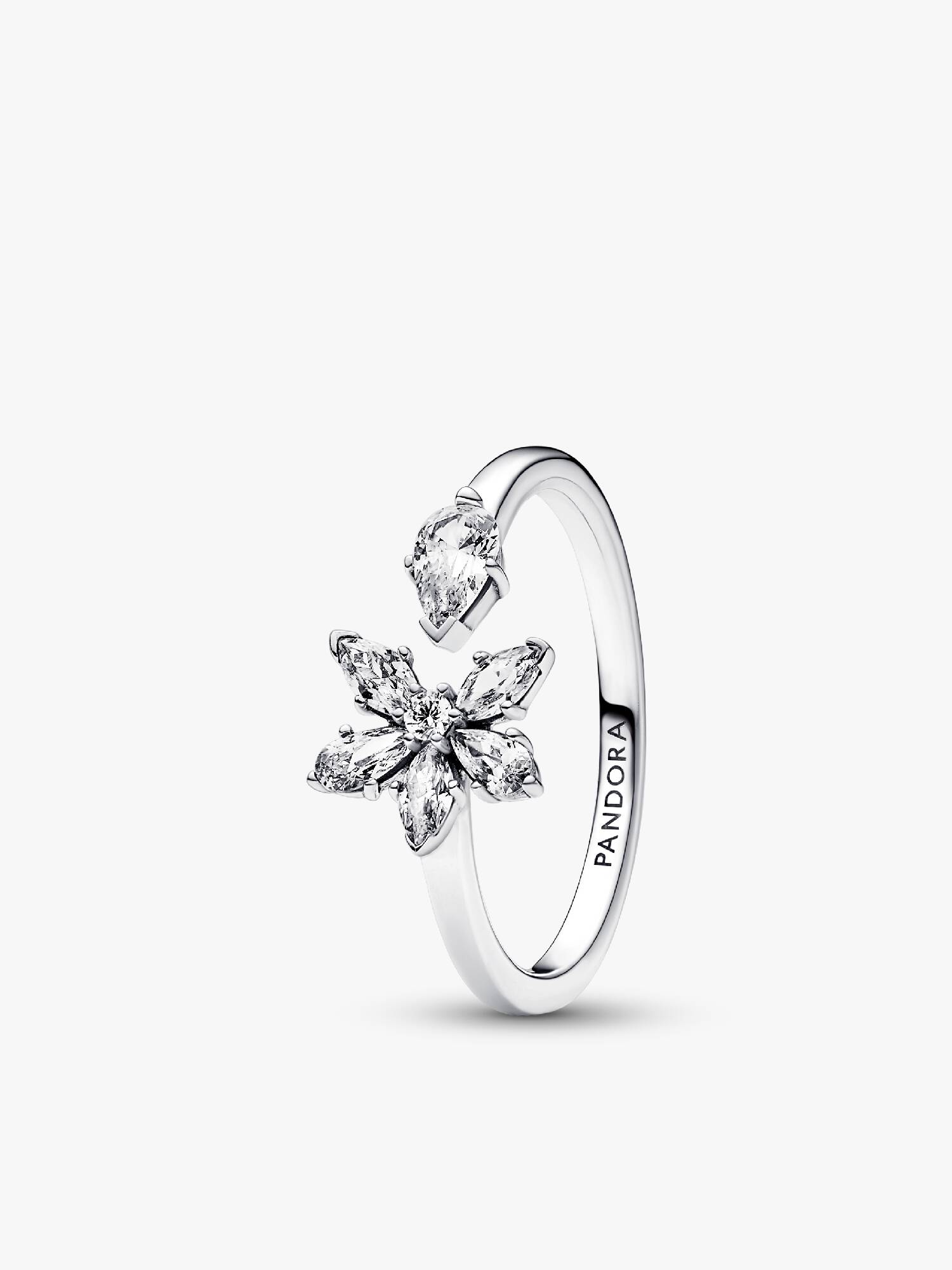 Anillo abierto Racimo herbario reluciente