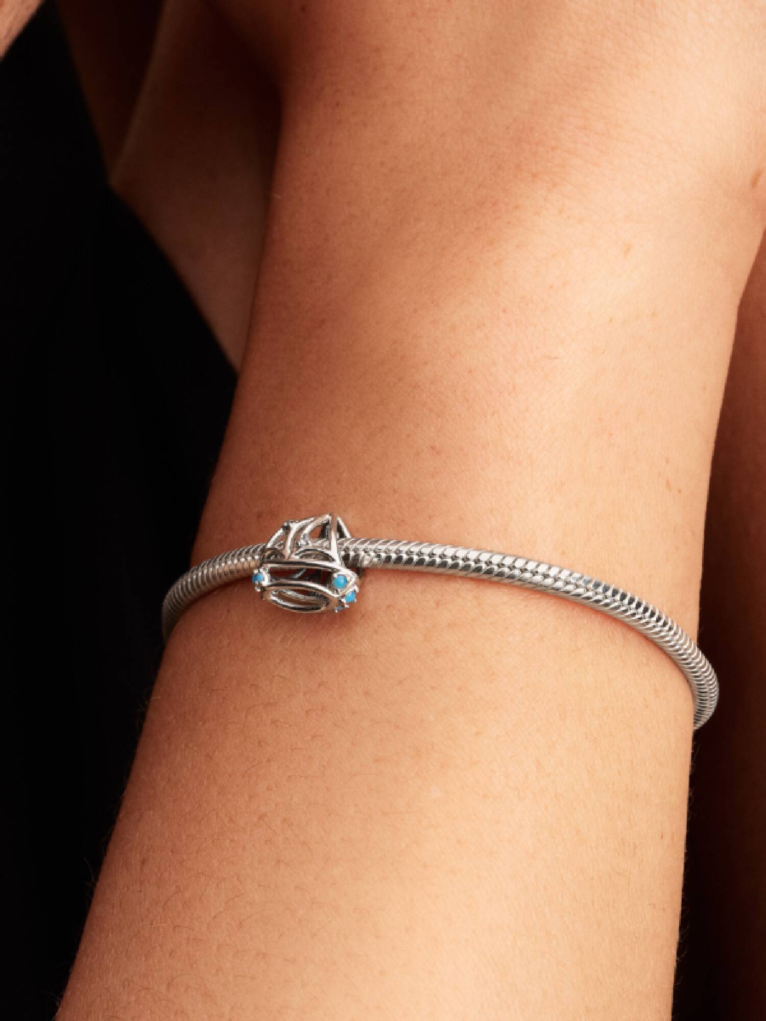 Charm Velero