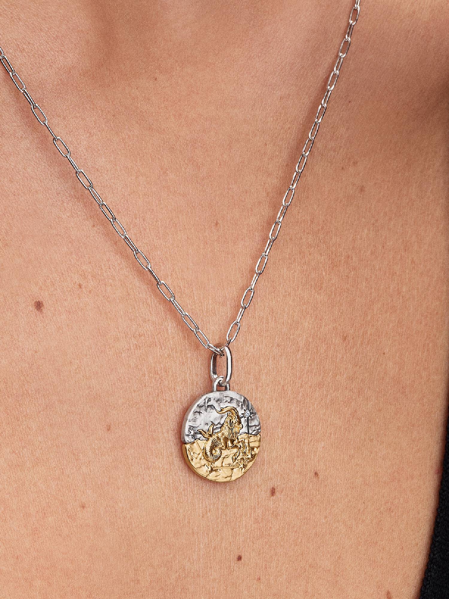 Charm Medallón Signo Zodiacal Capricornio