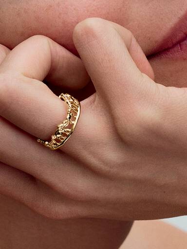 Anillo del Rey León de Disney