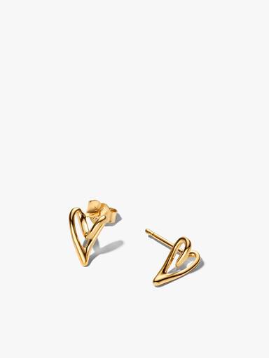 Conjunto de regalo Corazón con forma orgánica