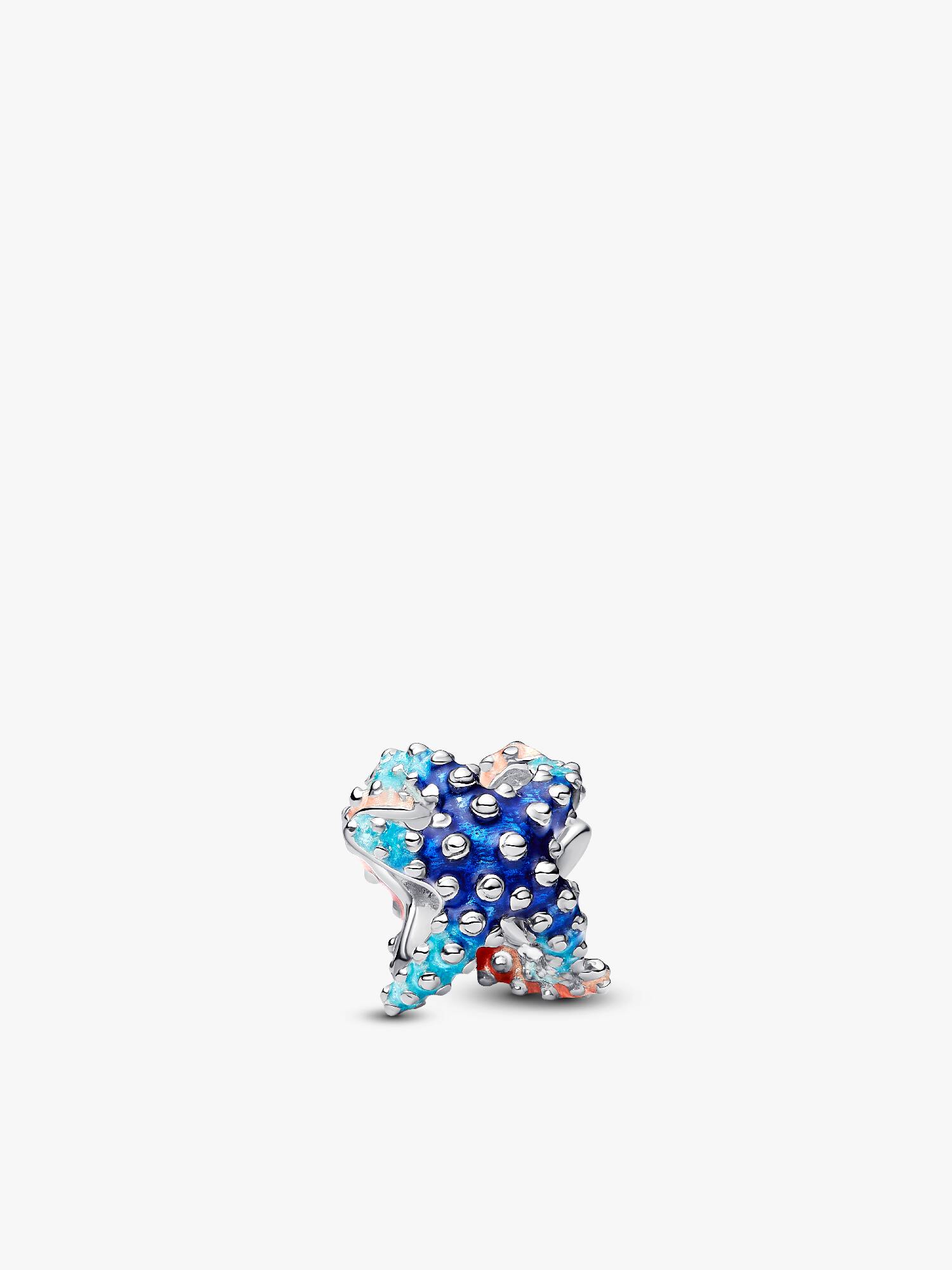 Mini Charm Estrella de Mar colorida
