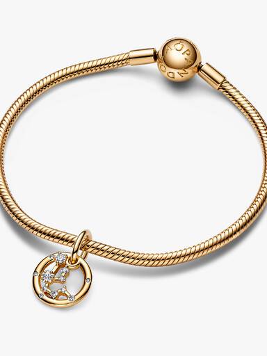 Charm colgante del signo zodiacal Acuario