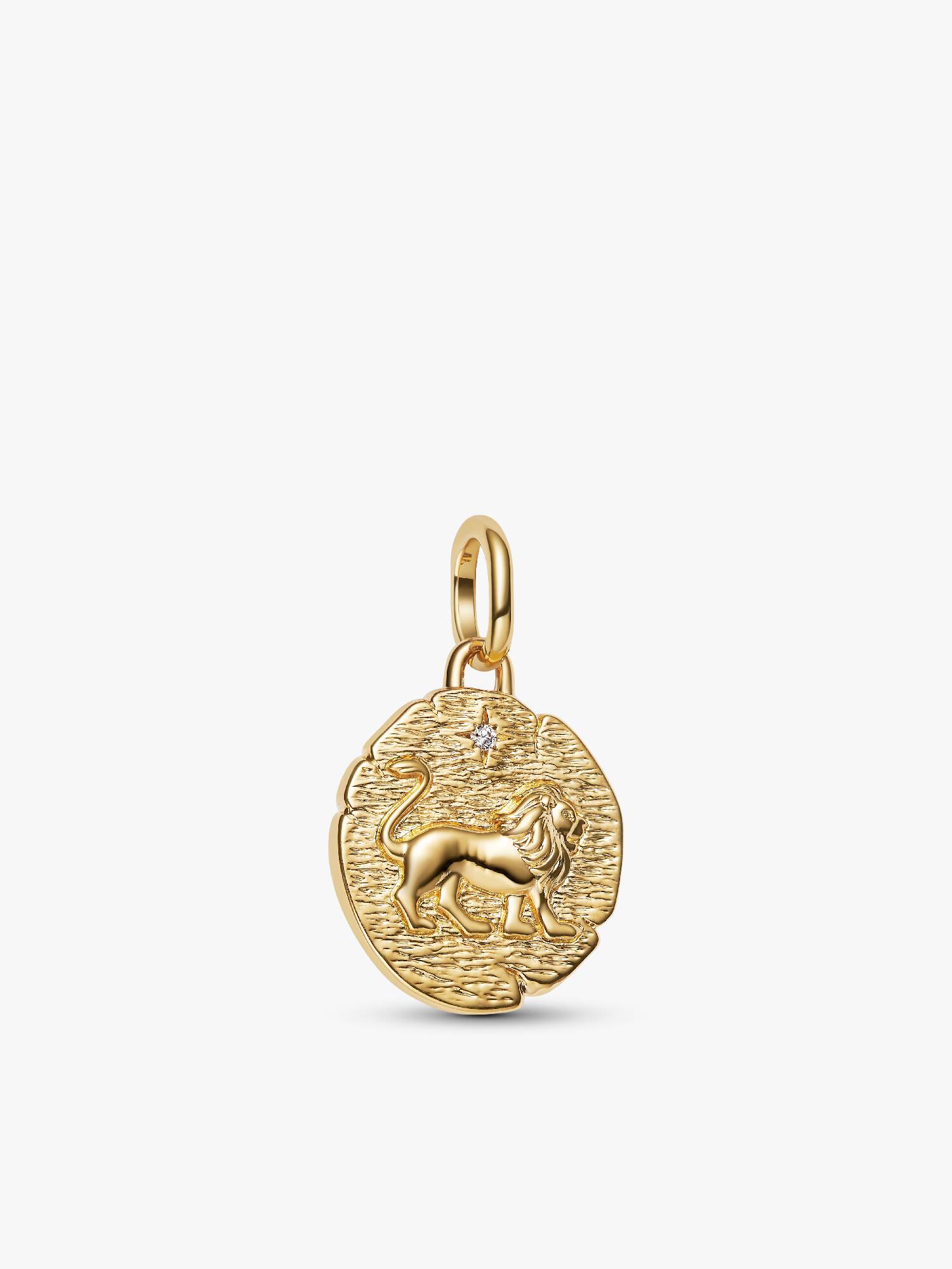 Charm Medallón León