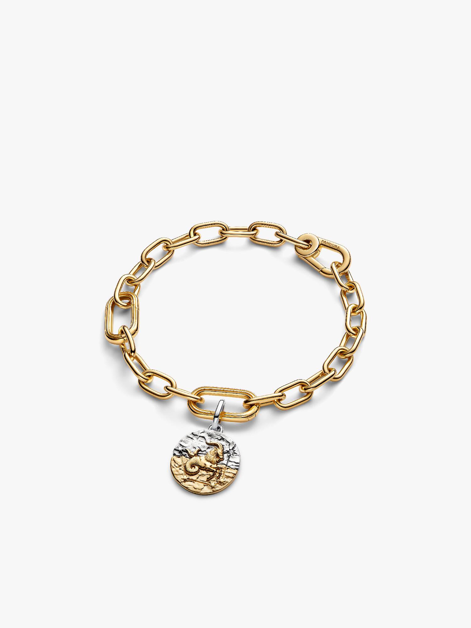 Set de Charm Talismán y Pulsera de Capricornio
