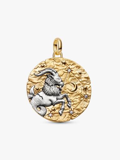 Charm Medallón grande Signo Zodical Capricornio