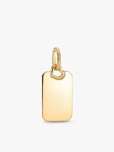 Collar con Placa Rectangular Grabable