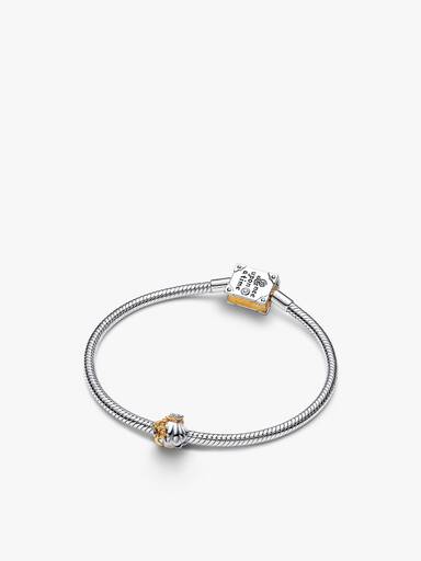 Set de Regalo de Edición Limitada Pulsera de Ariel y Charm