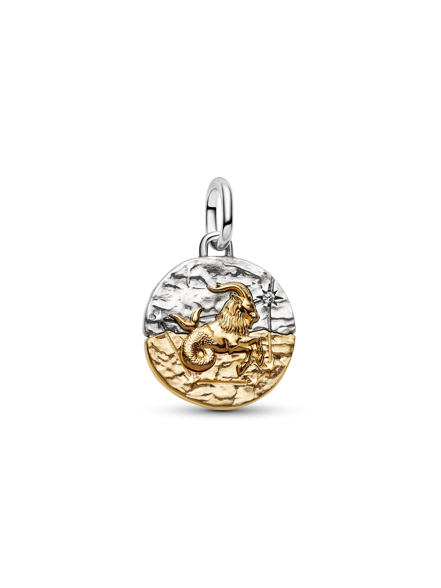 Charm Medallón Signo Zodiacal Capricornio