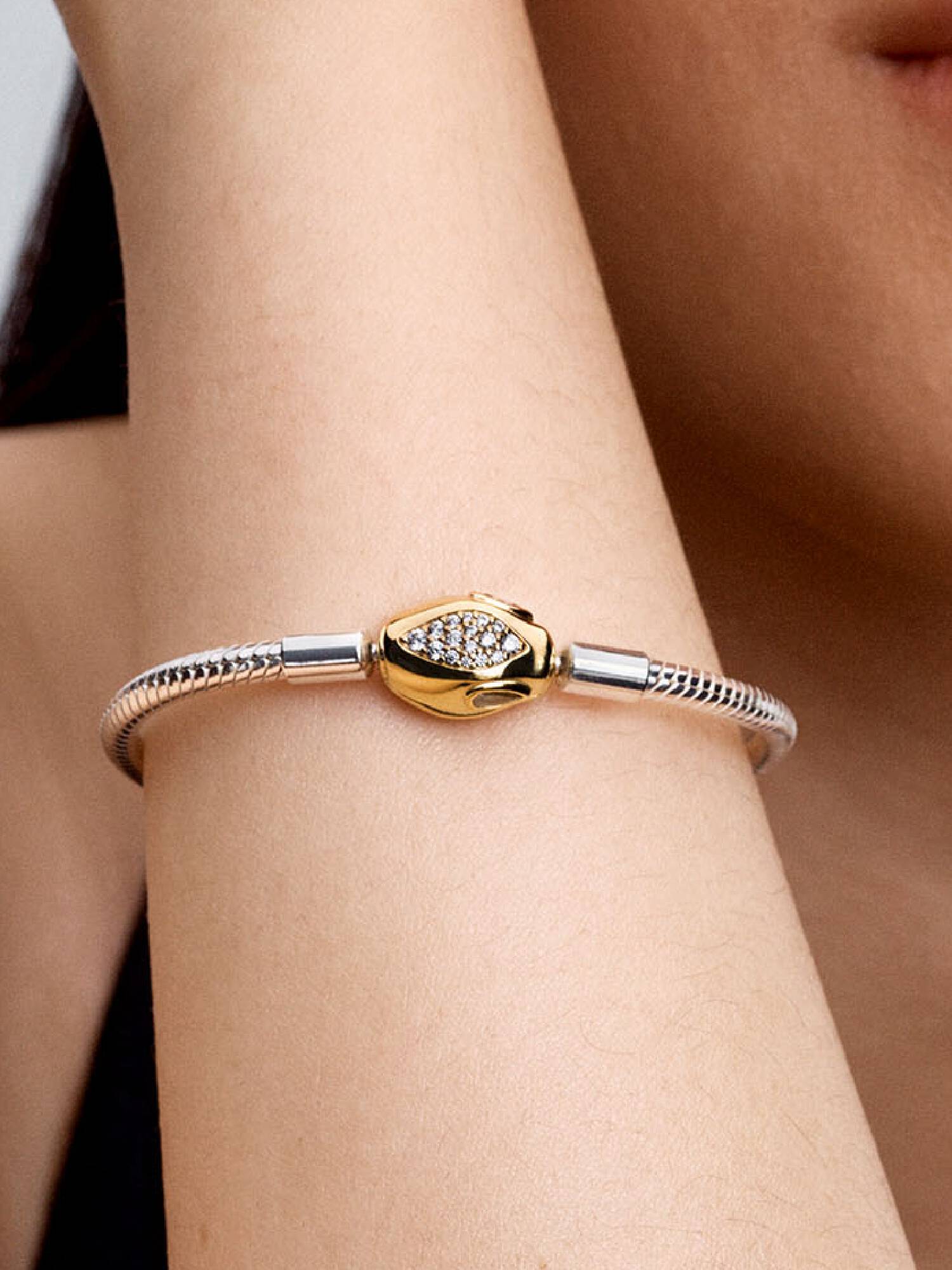 Brazalete de cadena y broche de serpiente