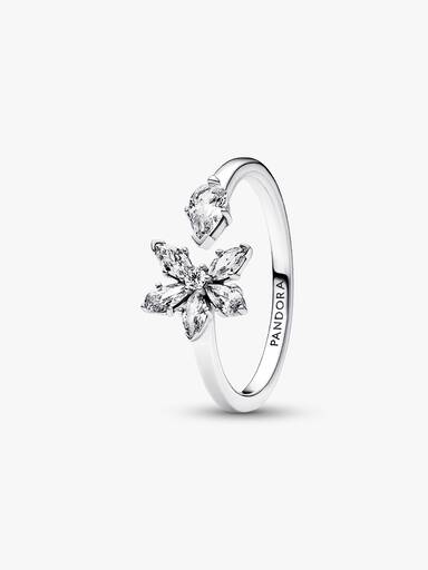 Anillo abierto Racimo herbario reluciente