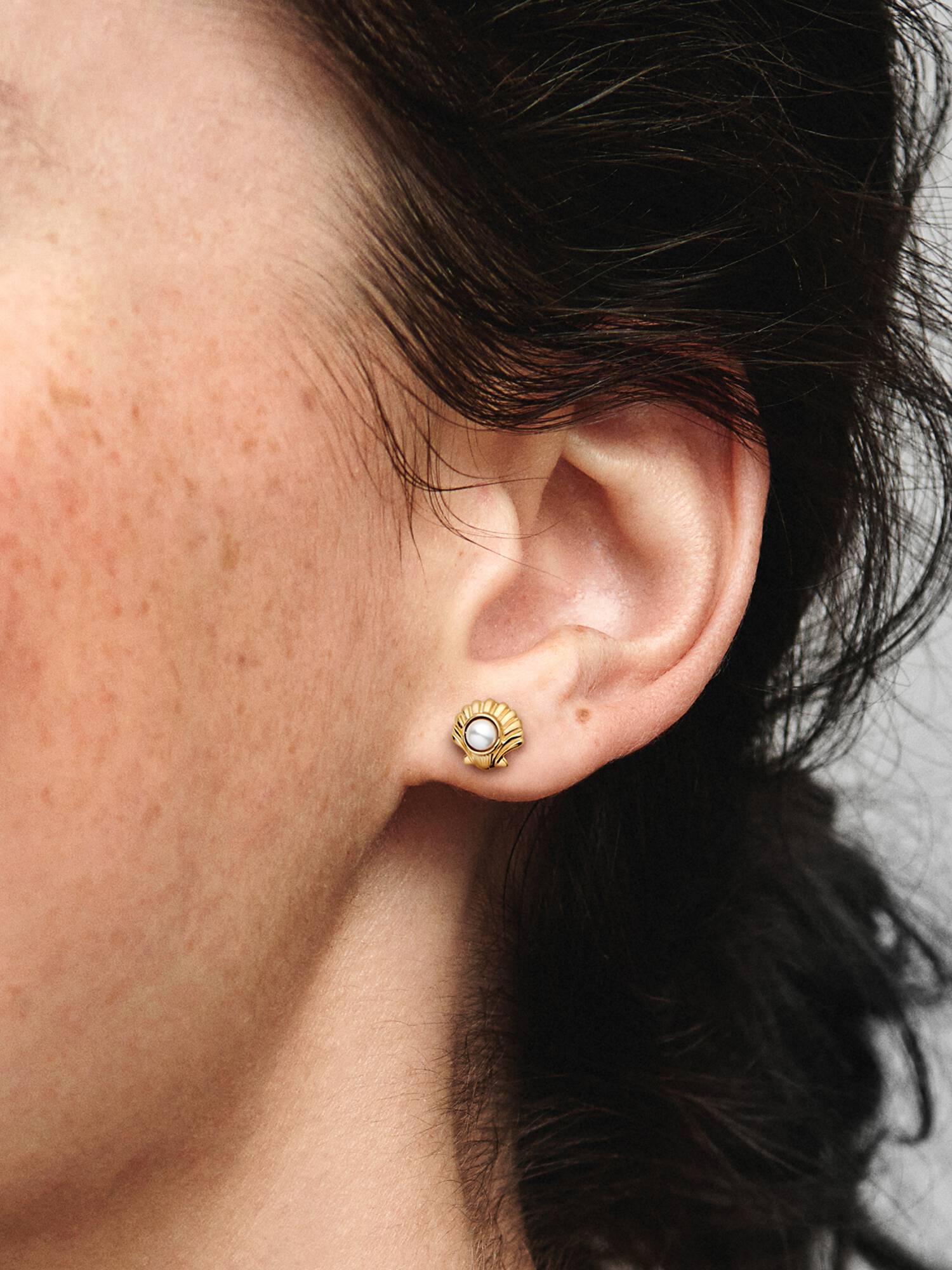 Aretes de botón Concha marina de La Sirenita de Disney