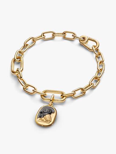 Charm Medallón Búho