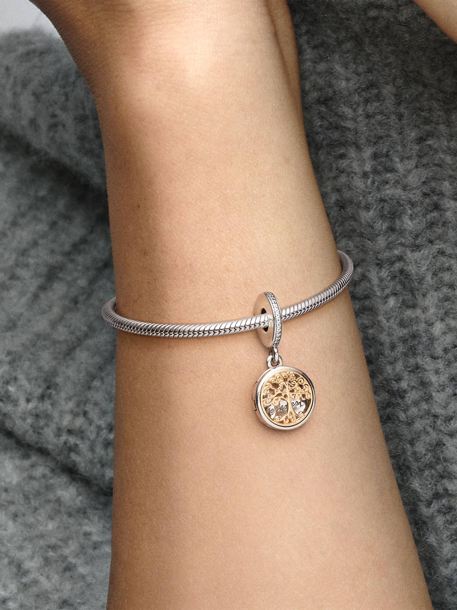 Charm Dangle Raíces Familiares