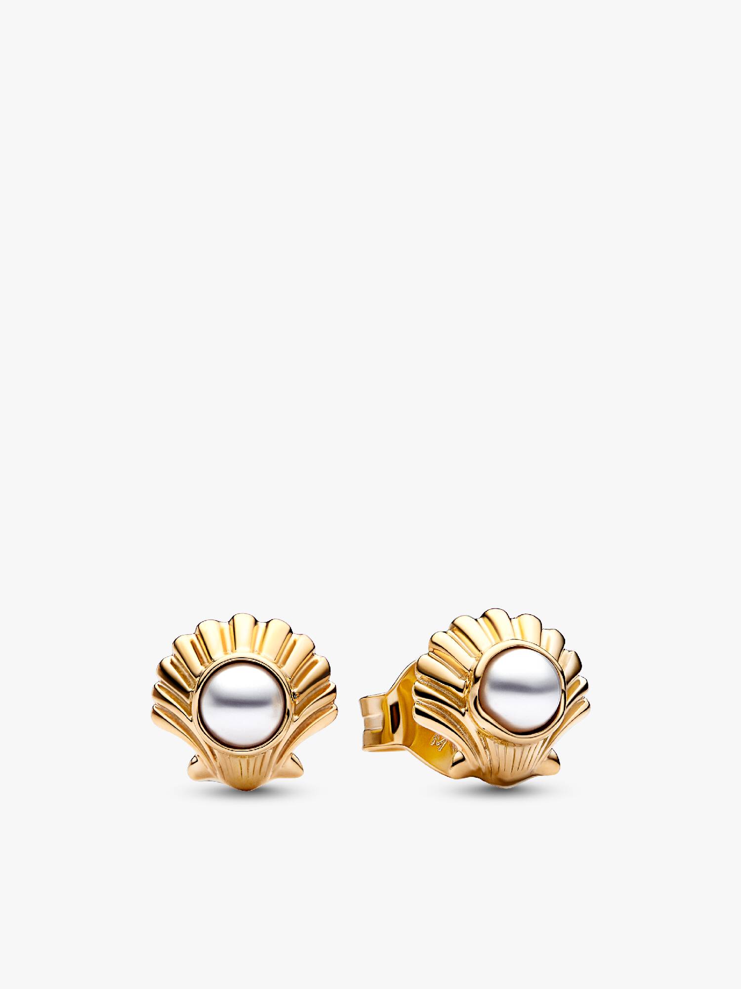 Aretes de botón Concha marina de La Sirenita de Disney