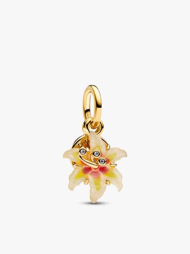 Set de charms Disney Enredados