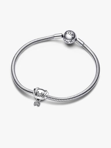 Charm Perro mascota y hueso