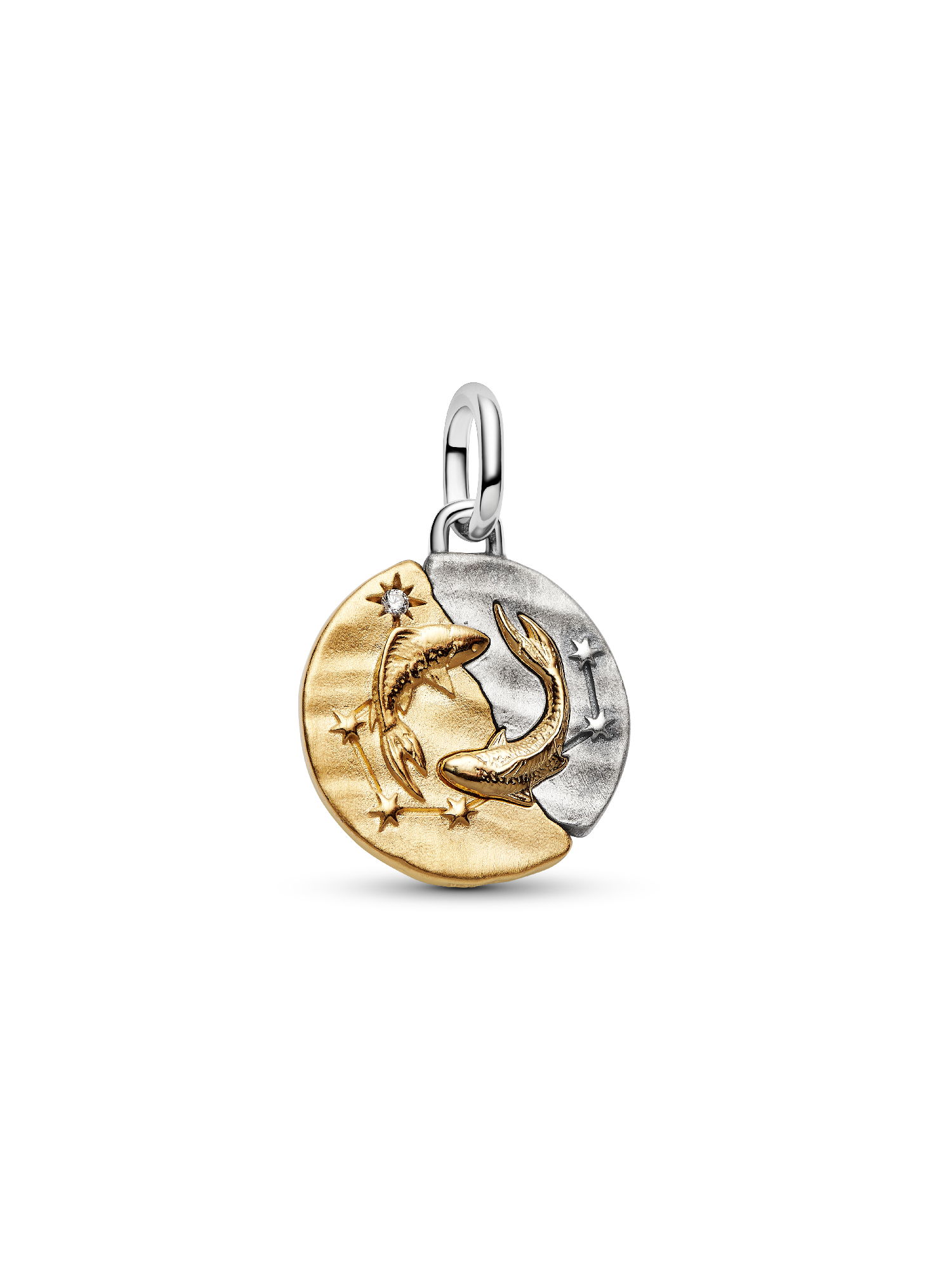 Charm Medallón Signo Zodiacal Piscis