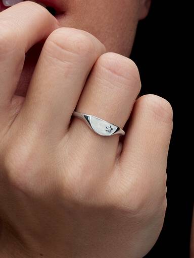 Anillo Medio Sello Esmaltado