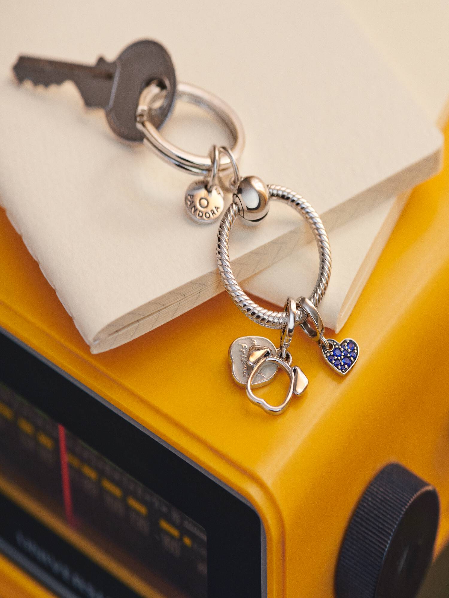 Charm Llavero de Pandora Moments
