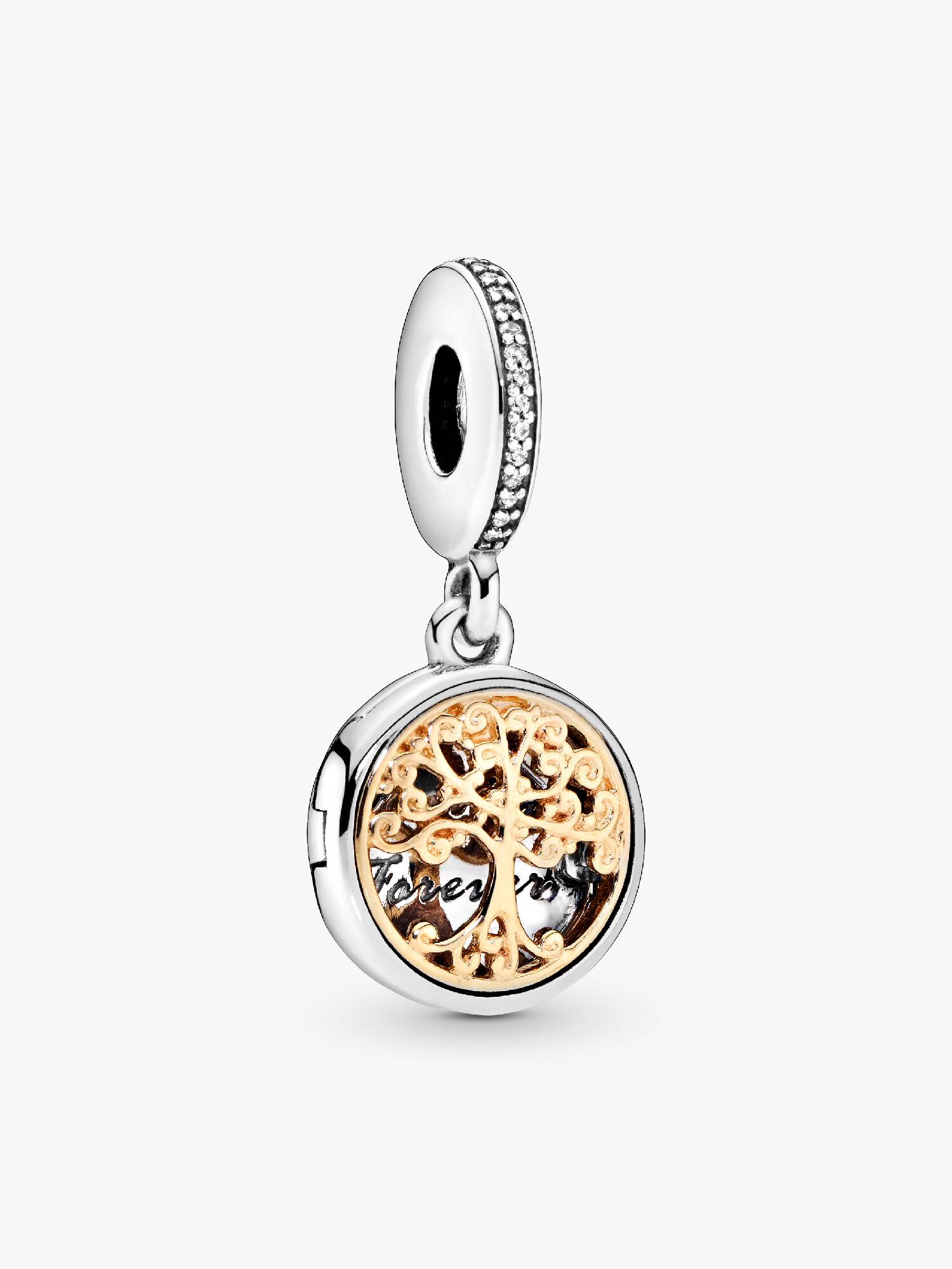 Charm Dangle Raíces Familiares