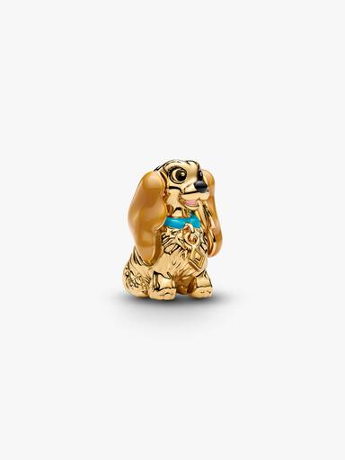 Charm Dama de Disney