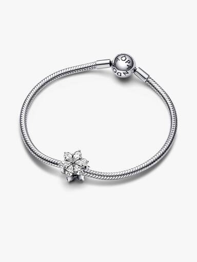 Charm Racimo herbario reluciente